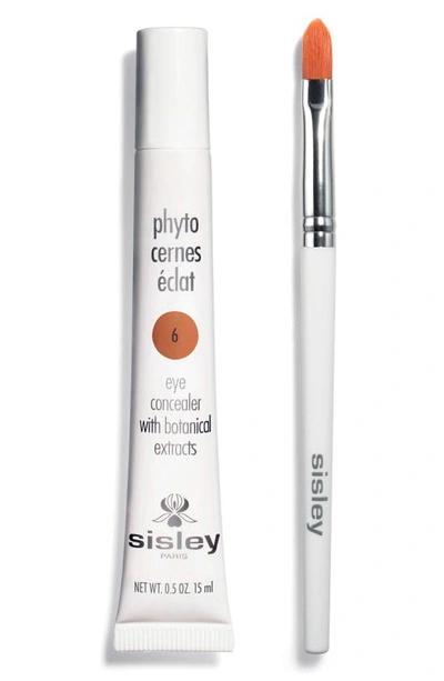 Shop Sisley Paris Phyto-cernes Éclat Eye Concealer In 6 Deep