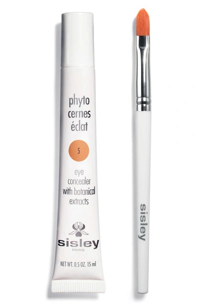 Shop Sisley Paris Phyto-cernes Éclat Eye Concealer In 5 Deep