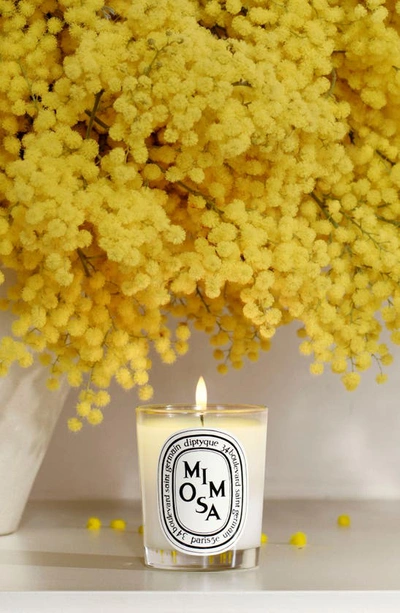 Shop Diptyque Mini Mimiosa Sccented Candle, 2.5 oz