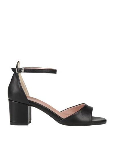 Shop Divine Follie Woman Sandals Black Size 8 Soft Leather