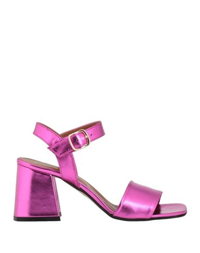 Shop Divine Follie Woman Sandals Fuchsia Size 8 Soft Leather In Pink
