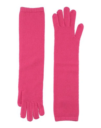 Shop Gentryportofino Woman Gloves Fuchsia Size S Virgin Wool, Cashmere In Pink