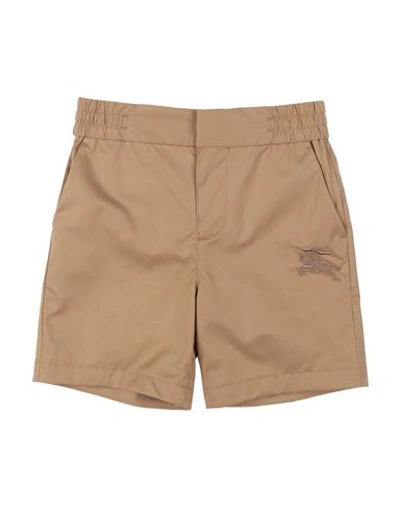 Shop Burberry Toddler Boy Shorts & Bermuda Shorts Camel Size 6 Cotton In Beige