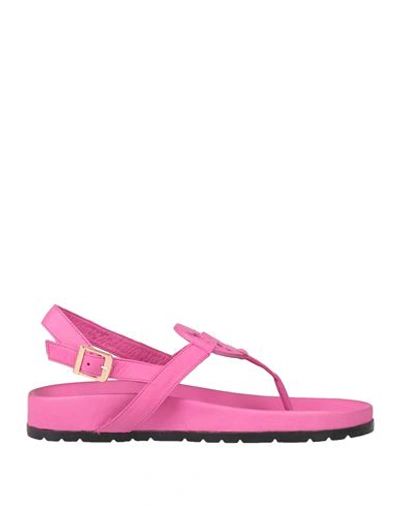 Shop Divine Follie Woman Thong Sandal Fuchsia Size 8 Soft Leather In Pink