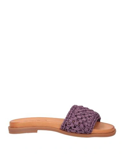 Shop Divine Follie Woman Sandals Purple Size 8 Synthetic Raffia