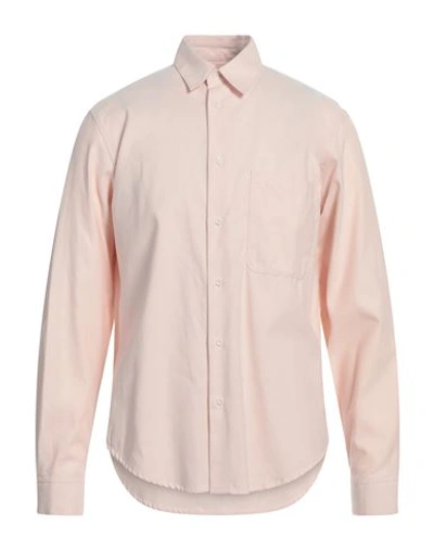 Shop Sandro Man Shirt Pink Size L Cotton