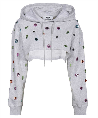 Shop Msgm Cotton Hoodie In Grey