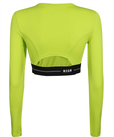 Shop Msgm Long Sleeve Crop Top In Green