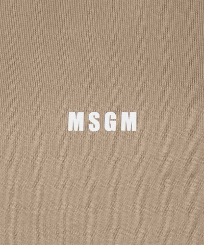Msgm Cotton Hoodie In Beige