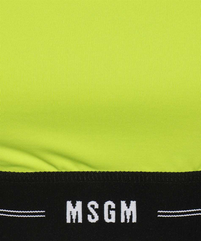 Shop Msgm Long Sleeve Crop Top In Green