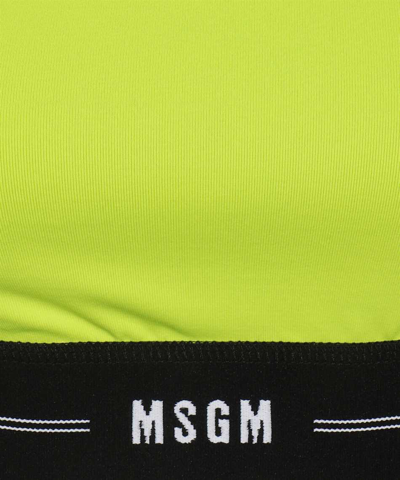 Msgm Long Sleeve Crop Top In Green
