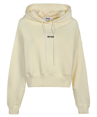 Msgm Cotton Hoodie In Ecru