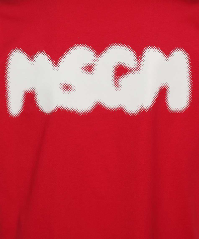 Shop Msgm Printed Cotton T-shirt In Red
