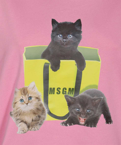 Msgm Cotton Hoodie In Pink