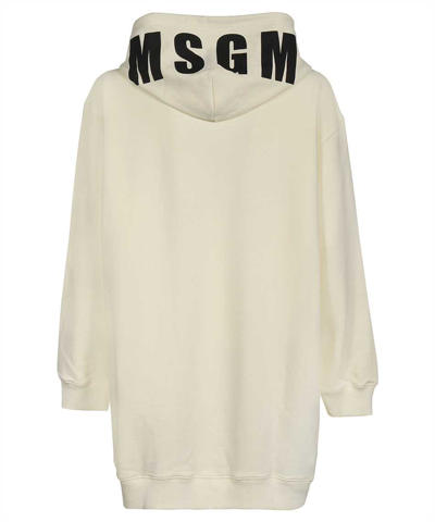 Msgm Cotton Hoodie In Ecru