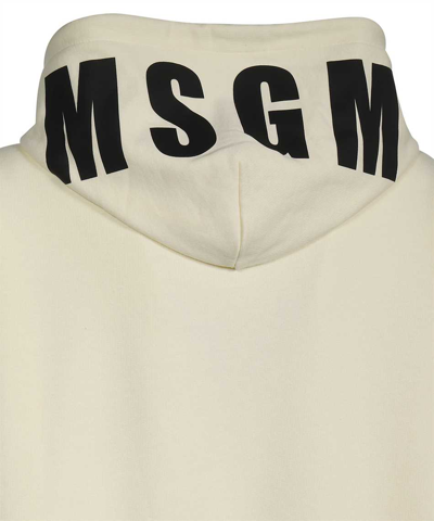 Msgm Cotton Hoodie In Ecru