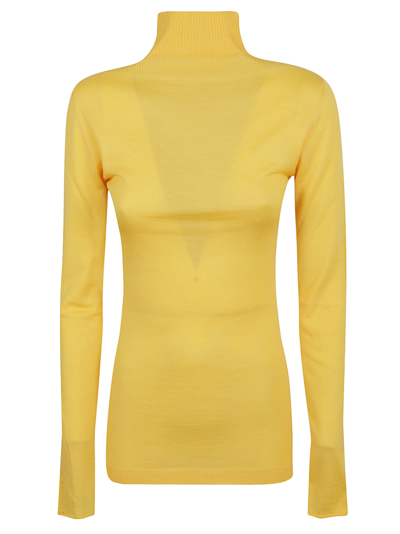 Shop Marni Turtleneck Fitted Jumper In Maize
