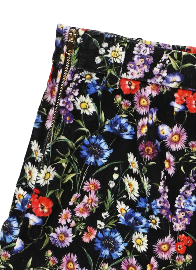 Shop Dolce & Gabbana Velvet Shorts In Multicolor