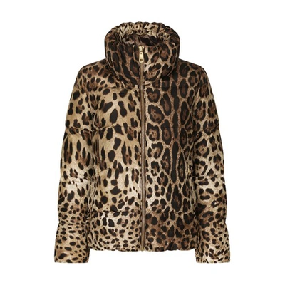 Shop Dolce & Gabbana Padded Leopard-print Nylon Jacket In Leo_new