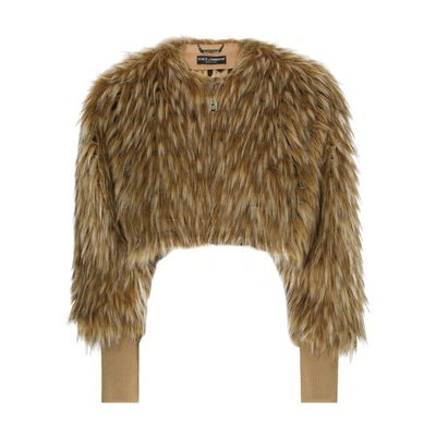 Shop Dolce & Gabbana Short Faux Fur Jacket In White_beige_hazelnut