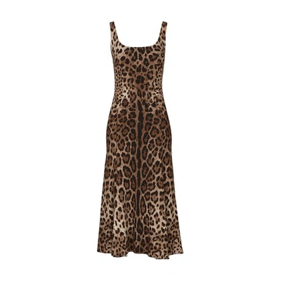 Shop Dolce & Gabbana Calf-length Cady Dress In Leo_new