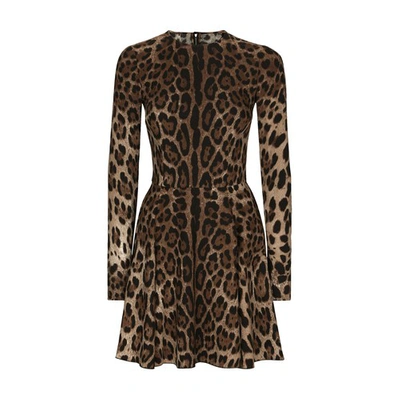 Shop Dolce & Gabbana Short Cady Dress In Leo_new