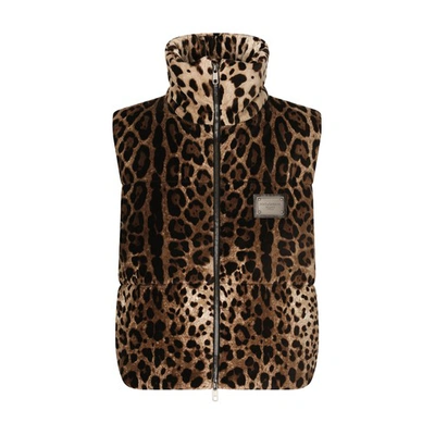Shop Dolce & Gabbana Sleeveless Leopard-print Jacket In Leo_new