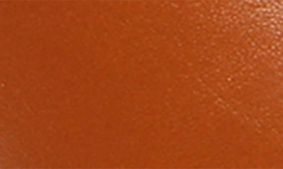 Bcbgmaxazria Leonor Ankle Wrap Pointed Toe Pump In Cognac