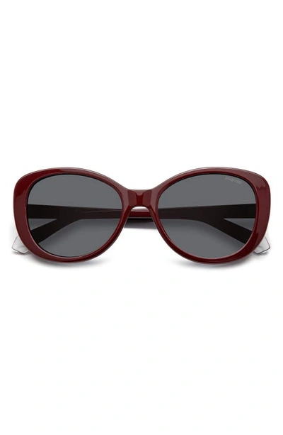 Shop Polaroid 55mm Polarized Round Sunglasses In Burgundy/ Gray Polarized