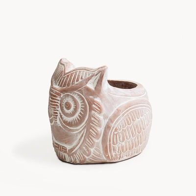 Shop Korissa Terracotta Pot