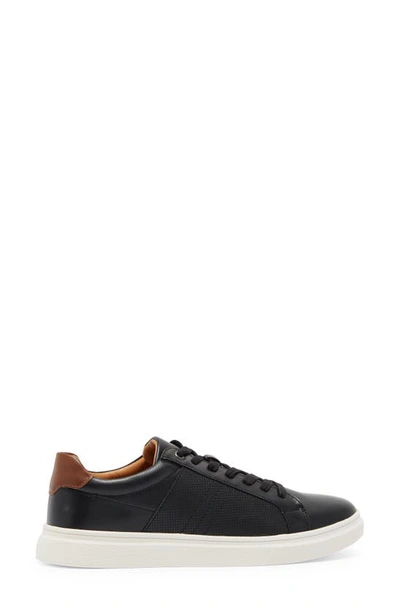 Steve Madden Tucker Sneaker In Black