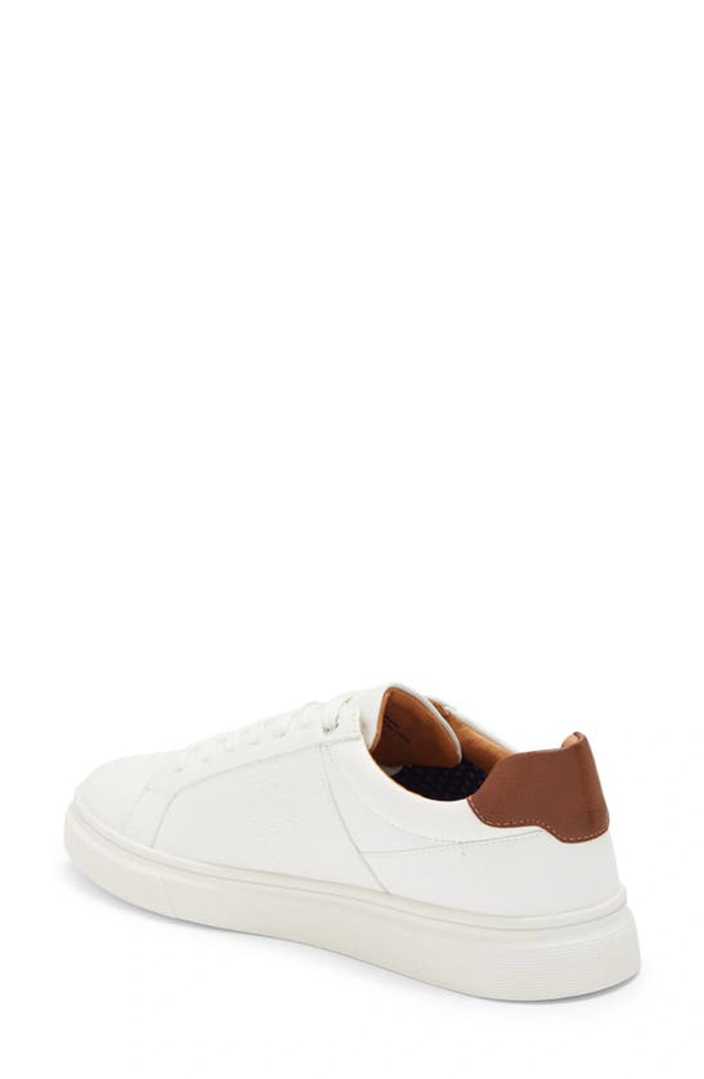 Steve Madden Tucker Sneaker In White | ModeSens