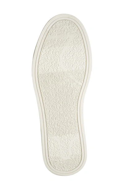 Steve Madden Tucker Sneaker In White