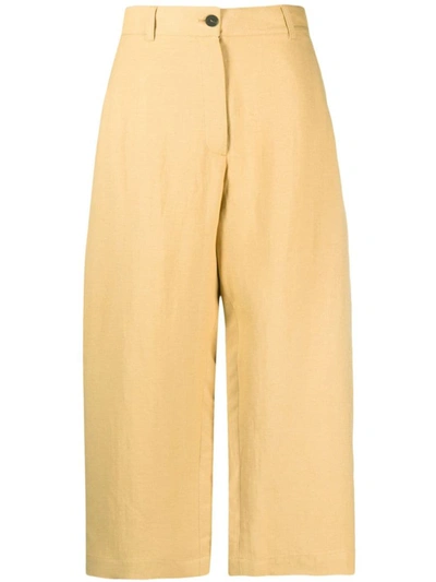 Studio Nicholson High Waist Wide Leg Cropped Cotton Trousers In Yellow &amp; Orange