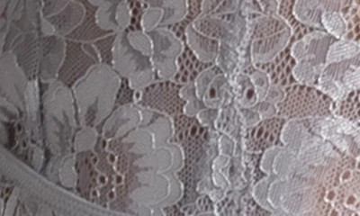 Shop In Bloom By Jonquil Lace Teddy In Silver
