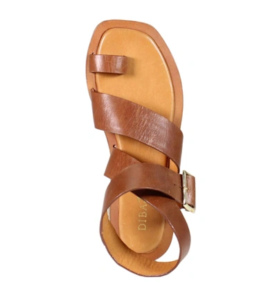 Shop Diba True Cite See Sandals In Brown
