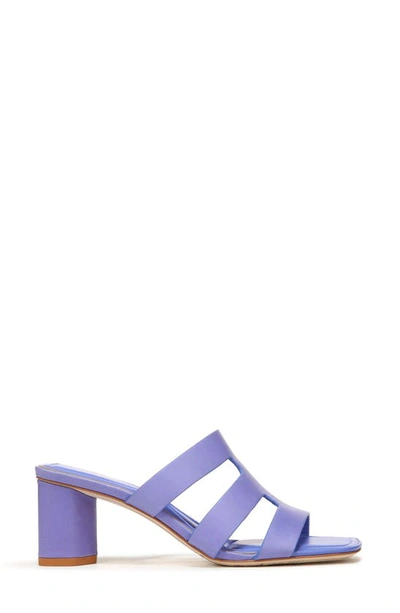 Shop Franco Sarto Flexa Carly Sandal In Blue