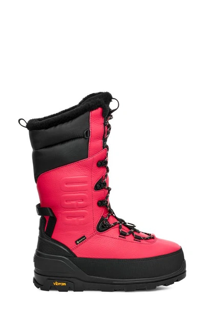 Shop Ugg Shasta Gore-tex® Waterproof Boot In Pink Glow