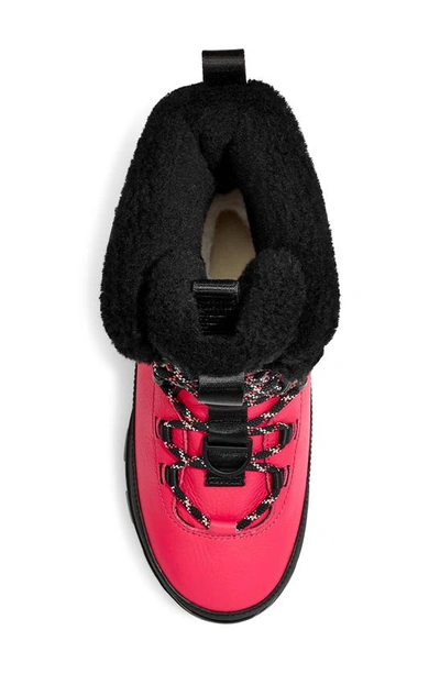 Shop Ugg Shasta Gore-tex® Waterproof Boot In Pink Glow