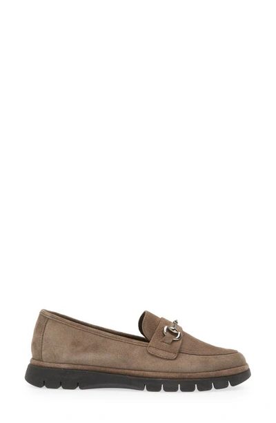 The Flexx Chic Too Bit Loafer In Grafite