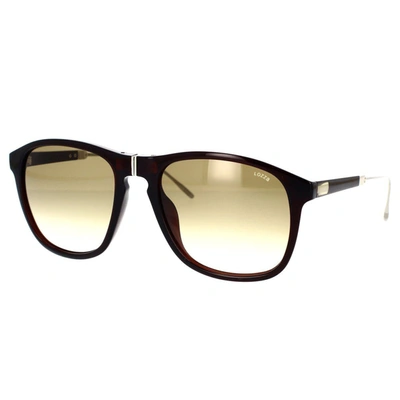 Shop Lozza Sunglasses In Brown