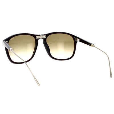 Shop Lozza Sunglasses In Brown