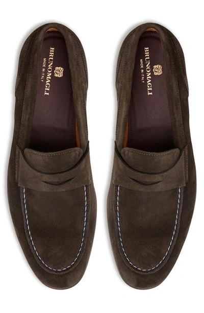 Shop Bruno Magli Silas Penny Loafer In Dark Brown Suede