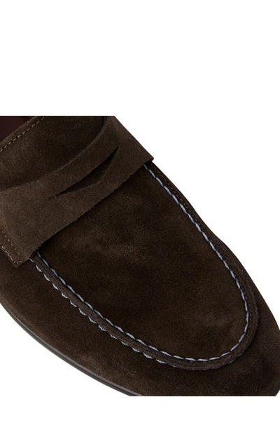 Shop Bruno Magli Silas Penny Loafer In Dark Brown Suede