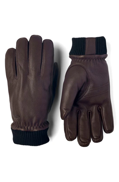 Shop Hestra Tore Deerskin Leather Gloves In Chocolate