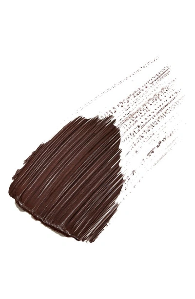 Hermes Trait D'hermès In 02 Brun Bistre