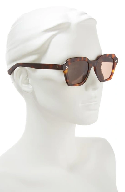Shop Oliver Peoples Kienna 51mm Square Sunglasses In Dark Brown