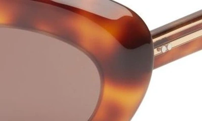 Oliver Peoples 53mm X Khaite 1968c Oval Sunglasses In Dark Brown