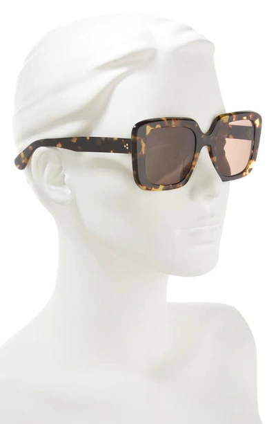 Shop Oliver Peoples Franca 52mm Square Sunglasses In Dark Brown
