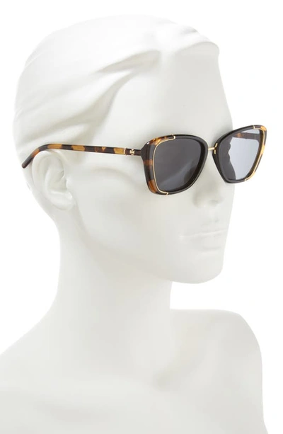 Shop Tory Burch 54mm Cat Eye Sunglasses In Dark Tortoise